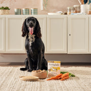 Forthglade Complete Adult Chicken & Brown Rice Wet Dog Food