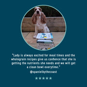 Forthglade Complete Adult Lamb & Brown Rice Wet Dog Food