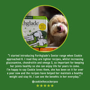 Forthglade Complete Senior Lamb & White Fish Variety Pack Wet Dog Food