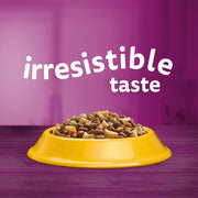 Whiskas 1+ Complete Chicken Dry Food