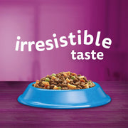Whiskas 1+ Complete Lamb Dry Food