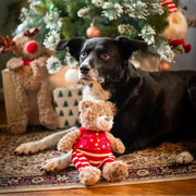 Rosewood Buddy Bear Christmas Plush Dog Toy