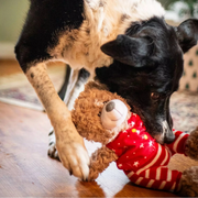 Rosewood Buddy Bear Christmas Plush Dog Toy