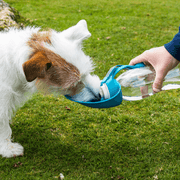 Henry Wag Water Bottle Leaf Bowl Blue