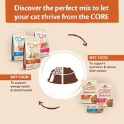 Wellness Core Ocean Adult Salmon & Tuna Dry Cat Food