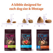 Wellness Core Ocean Adult Salmon & Tuna Dry Dog Food
