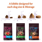 Wellness Core Ocean Small Breed Adult Salmon Dry Dog Food