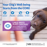 Wellness Core Original Large Breed Puppy Chicken & Turkey Dry Dog Food
