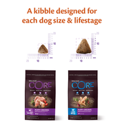 Wellness Core Original Large Breed Puppy Chicken & Turkey Dry Dog Food