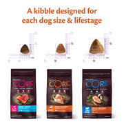 Wellness Core Original Adult Turkey & Chicken Dry Dog Food