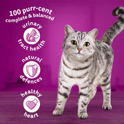 Whiskas 7+ Complete Chicken Dry Food