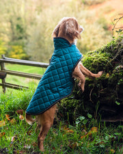 Henry Wag Teal Quilted Dog Jacket