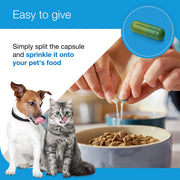 Vetoquinol Zylkene Plus Calming Supplement for Cats and Dogs