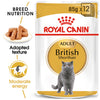ROYAL CANIN® British Shorthair Adult Cat Wet Food