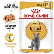 ROYAL CANIN® British Shorthair Adult Cat Wet Food
