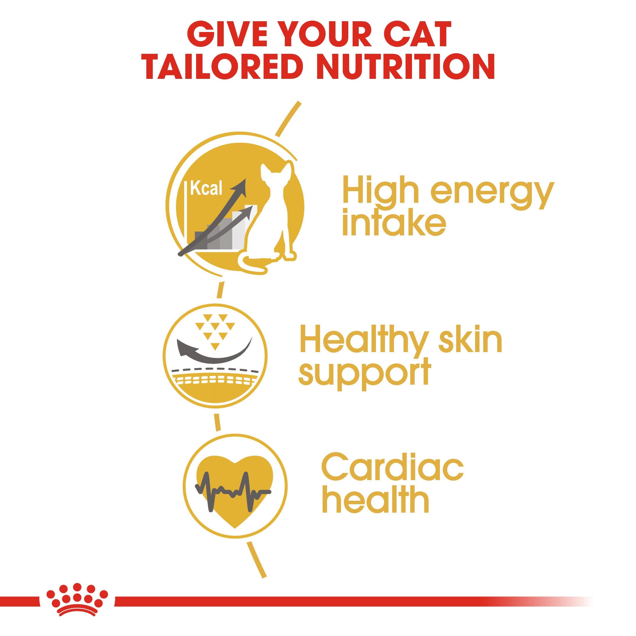 ROYAL CANIN® Sphynx Cat Adult Cat Food