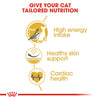 ROYAL CANIN® Sphynx Cat Adult Cat Food