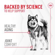 ROYAL CANIN® Joint and Ageing Soft Chews Supplements for Dogs
