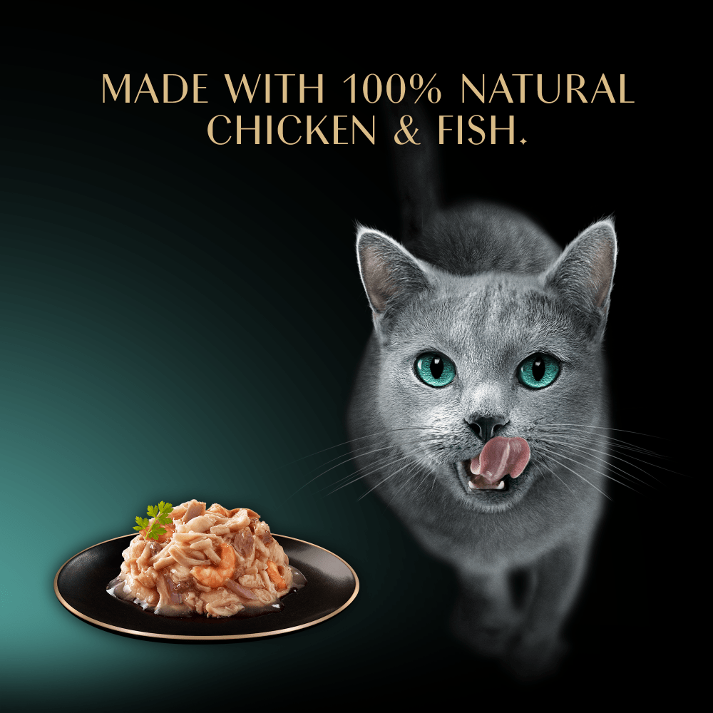 Sheba Fillets Tray Chick Shrimp Fish Gravy 32x60g