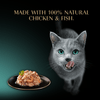 Sheba Fillets Tray Chick Shrimp Fish Gravy 32x60g