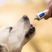 Virbac Nutri Plus Gel for Dogs and Cats