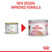 ROYAL CANIN® Feline Health Nutrition Mother and Babycat Cat Mousse