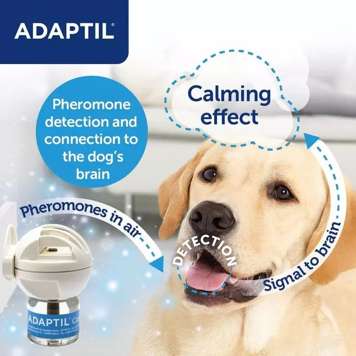 Adaptil Calm Home Diffuser Starter Pack for Dogs