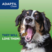 ADAPTIL® Chew for Dogs