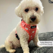 PupClub Adjustable Harness - Peachy Hearts