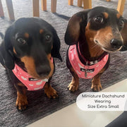 PupClub Adjustable Harness - Peachy Hearts