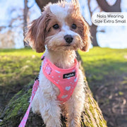 PupClub Adjustable Harness - Peachy Hearts