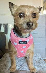 PupClub Adjustable Harness - Peachy Hearts