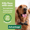 Advantage 250 Spot On Flea Control Large Dog
