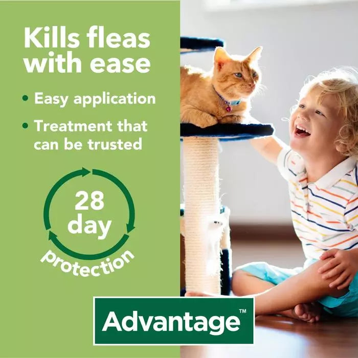 Advantage 80 Spot On Flea Control Large Cats and Rabbits