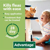 Advantage 80 Spot On Flea Control Large Cats and Rabbits