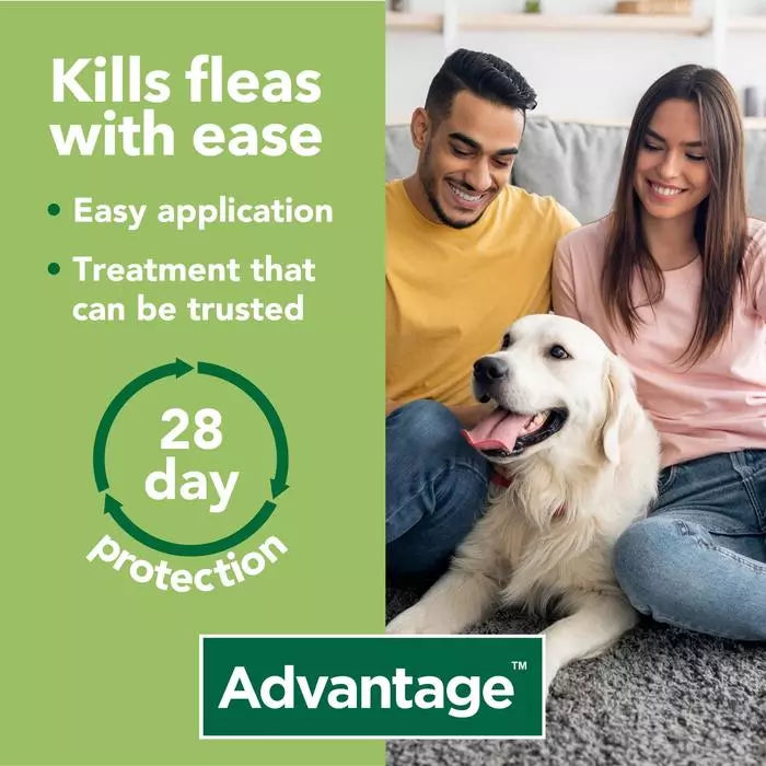 Advantage 400 Spot On Flea Control Extra Large Dog