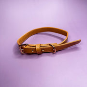 Alfresco Pup vegan leather buckle dog collar - camel colour