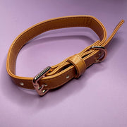 Alfresco Pup vegan leather buckle dog collar - camel colour