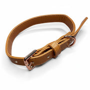 Alfresco Pup vegan leather buckle dog collar - camel colour