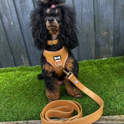 Alfresco Pup faux leather adjustable dog harness - camel colour