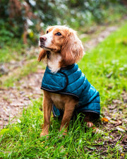 Henry Wag Teal Quilted Dog Jacket