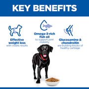 Hill's Science Plan Perfect Weight & Active Mobility Large Adult Dry Dog Food 12kg