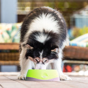 LickiMat OH Bowl™ Green for Dogs and Cats