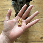 Beco Cashew, Pumpkin Seed & Carrot Dog Treats