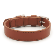Ralph & Co Brown Leather Dog Collar