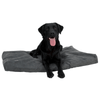 Buster Memory Foam Dog Bed