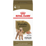 ROYAL CANIN® Poodle Adult Dog Food in Loaf