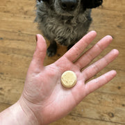 Beco Free Range Chicken Liver & Parsnip Dog Treats