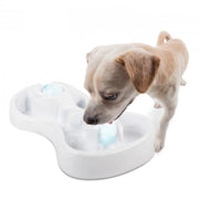 All For Paws Chill Out Cooling Feast for Dogs