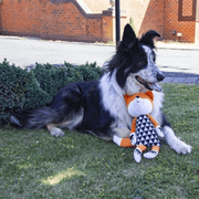 Rosewood Chubleez Mr Fox Dog Toy